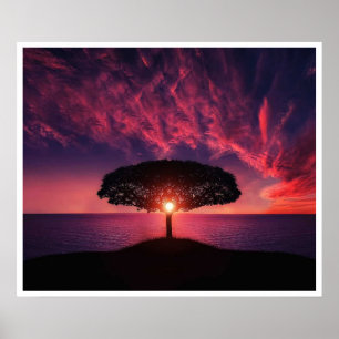 Poster Silhouette de l'arbre du coucher de soleil