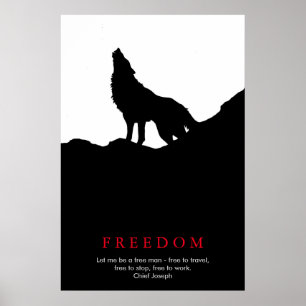 Poster Silhouette de loup noir et blanc sur une colline