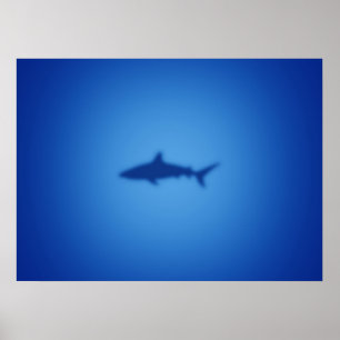 Poster Silhouette de requin