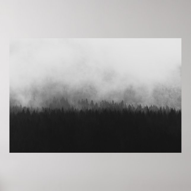 POSTER SILHOUETTE DE TREES WITH FOGS (Devant)