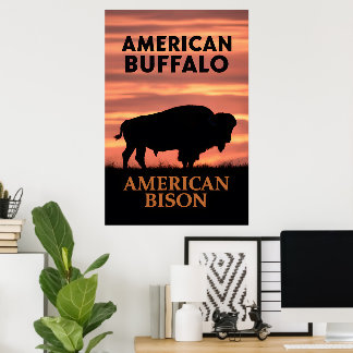 Poster Silhouette du bison du coucher du soleil