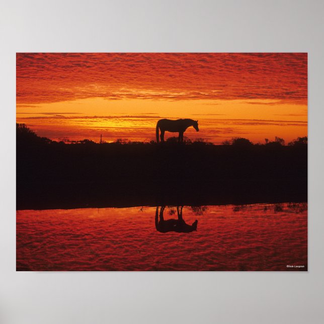 Poster Silhouette du Cheval contre le ciel couché de sole (Devant)