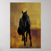 Silhouette du cheval noir