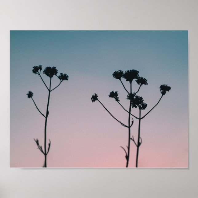 Poster silhouette du coucher de soleil (Devant)