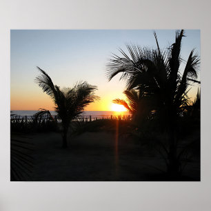 Poster Silhouette du coucher de soleil tropical