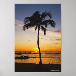Poster Silhouette d'un palmier par un coucher de soleil r
