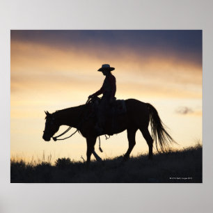 Poster Silhouette d'une Cowgirl sur son cheval contre