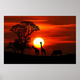 Poster Silhouette giraffes and rhino