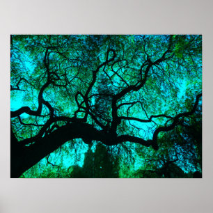 Poster Silhouette Imaginaire Turquoise Tree