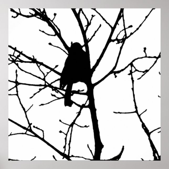 Poster Silhouette noire et blanche de poule dans un arbre (Devant)