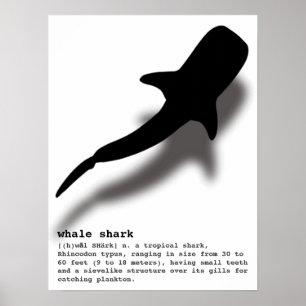 Poster Silhouette requin baleine avec Definition Beach