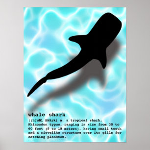 Poster Silhouette requin baleine avec Definition Beach