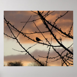 Poster Silhouette solitaire