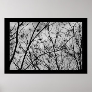 Poster Silhouettes