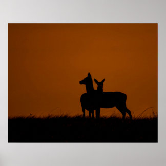 Poster Silhouettes de cerfs au coucher du soleil Photogra