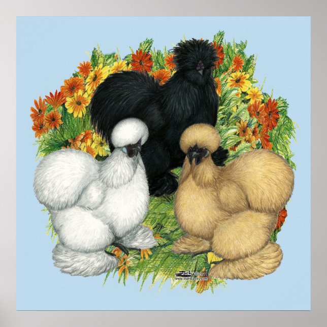 Poster Silkies du jardin de fleurs (Devant)