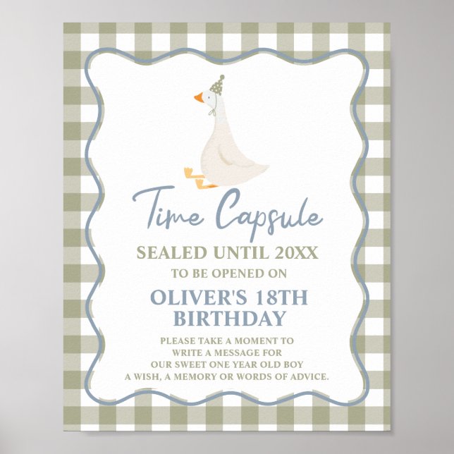 Poster Silly Goose Blue Green 1st Birthday Time Capsule (Devant)