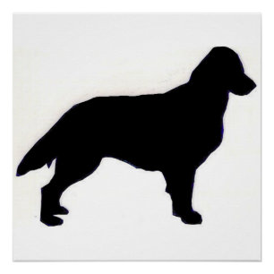 Poster Silo Retriever à revêtement plat