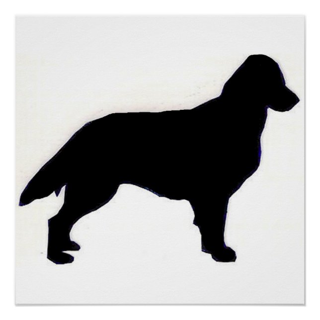 Poster Silo Retriever à revêtement plat (Devant)