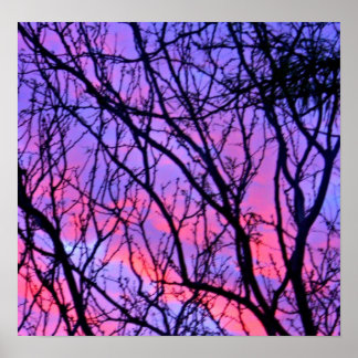 Poster Silohuette