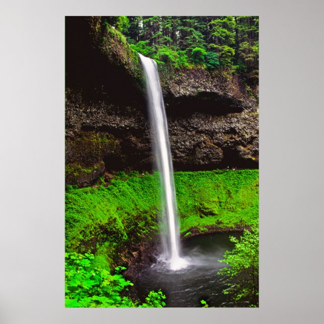 Poster Silver Falls OU (Devant)