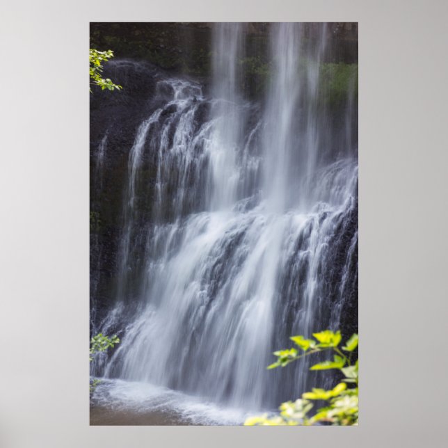 Poster Silver Falls Willamette Valley Oregon Middle Falls (Devant)