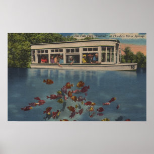 Poster Silver Springs, Floride - Vue sur Riverboat &