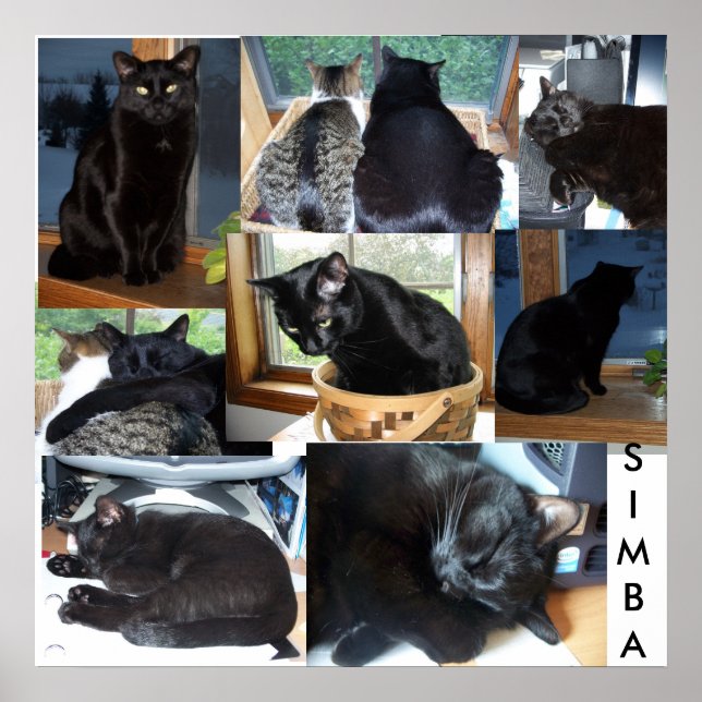 POSTER SIMBA (Devant)