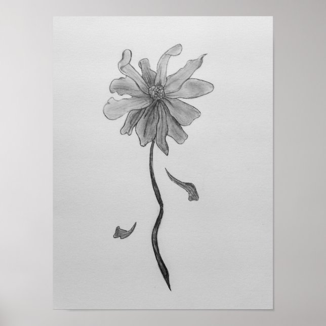 Poster Simple marguerite (Devant)