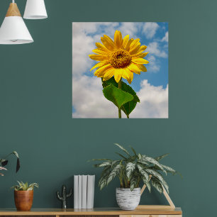 Poster Simple Tournesol Floral Photographie Botanique Can