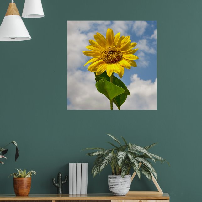 Poster Simple Tournesol Floral Photographie Botanique Can (Salon 1)