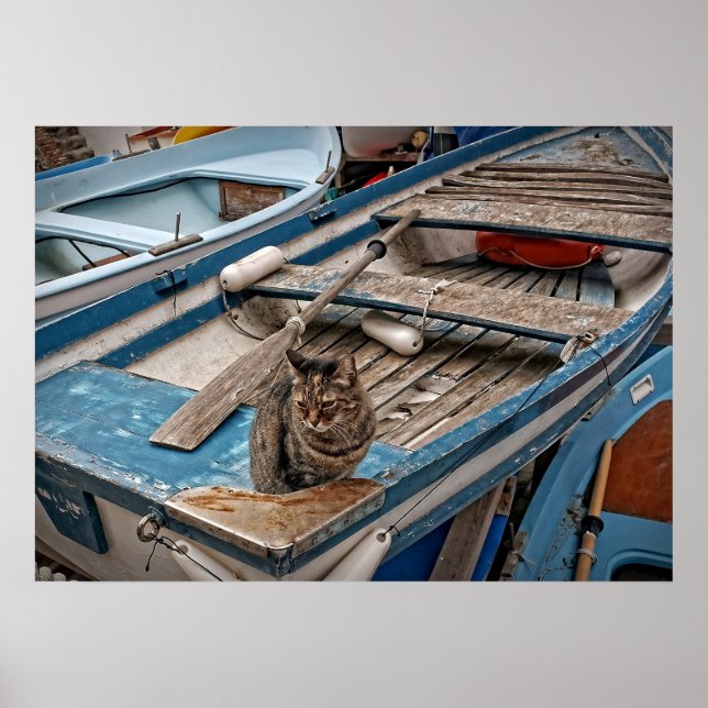 Poster Sinbad le chat marin (Devant)