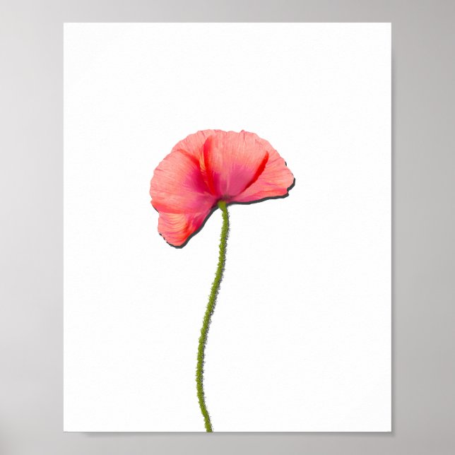 Poster Sing rouge fleur de pavot minimicité (Devant)