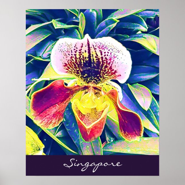 Poster Singapore Orchid voyage Asie du Sud-Est (Devant)