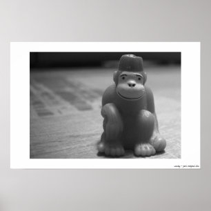 Poster singe