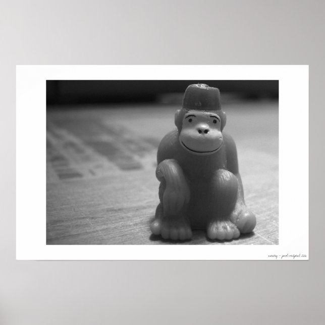 Poster singe (Devant)