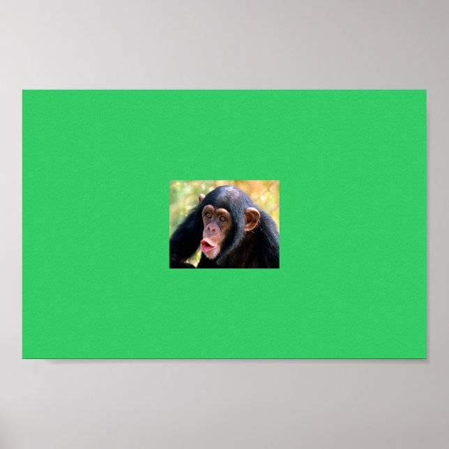 Poster singe (Devant)