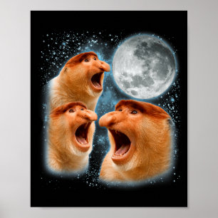 Poster singe à nez long amateur galaxie lune faune animal