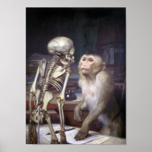 Poster Singe Avant Squelette