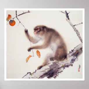 Poster Singe dans un arbre persimmon