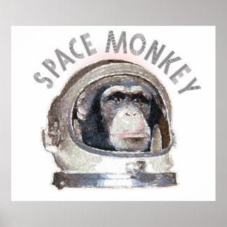 Poster Singe de l'espace