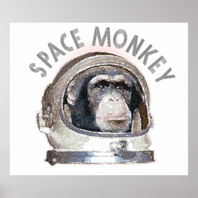 Poster Singe de l'espace (Devant)