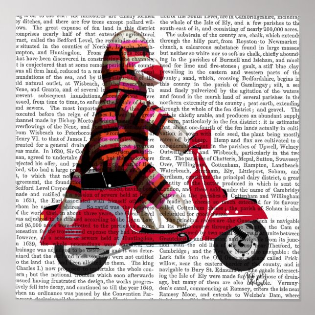 Poster Singe de queue sur cyclomoteur (Devant)