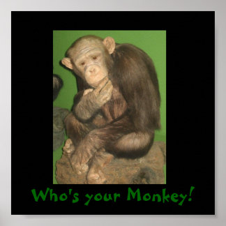 Poster singe, qui est ton singe !