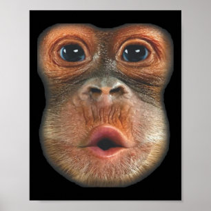 Poster Singe qui gonfle le visage avec l'estomac