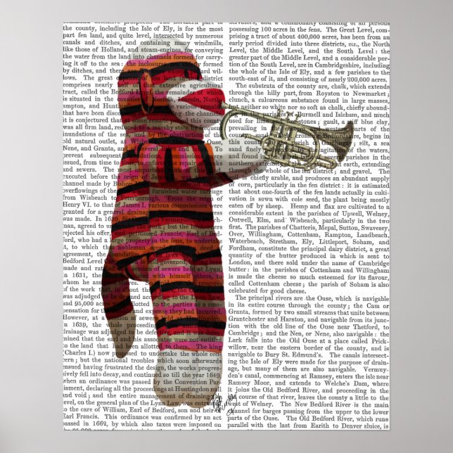 Poster Singe-Sock Jouer Trumpet (Devant)
