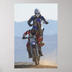 Poster Singe Sur Le Dos