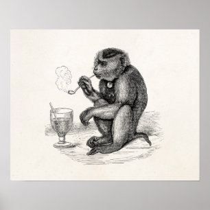 Poster Singe vintage fumant la pipe Singes Animal