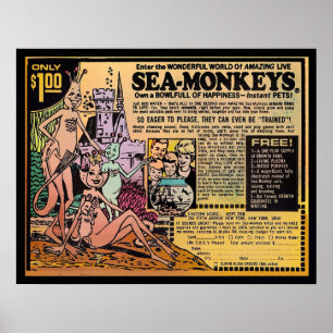Poster Singes de mer