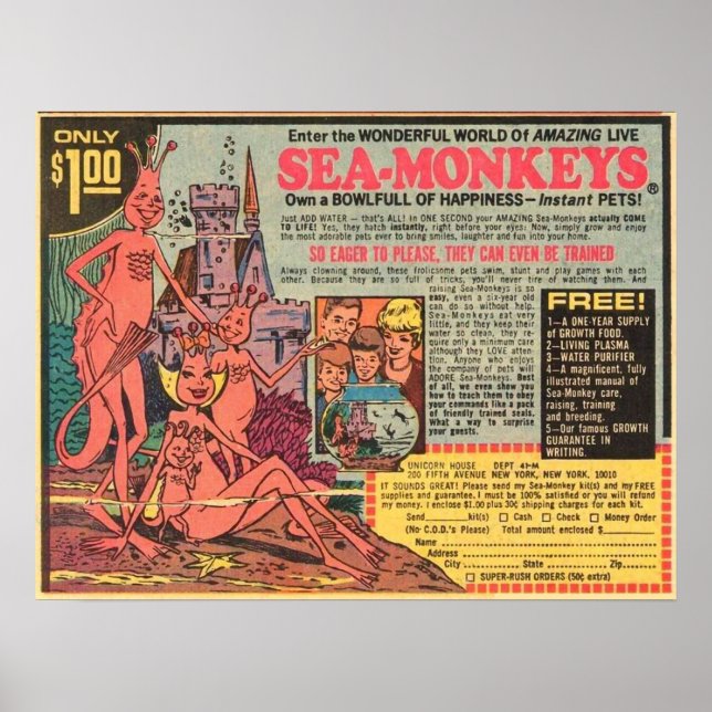 Poster Singes de mer seulement 1 (Devant)